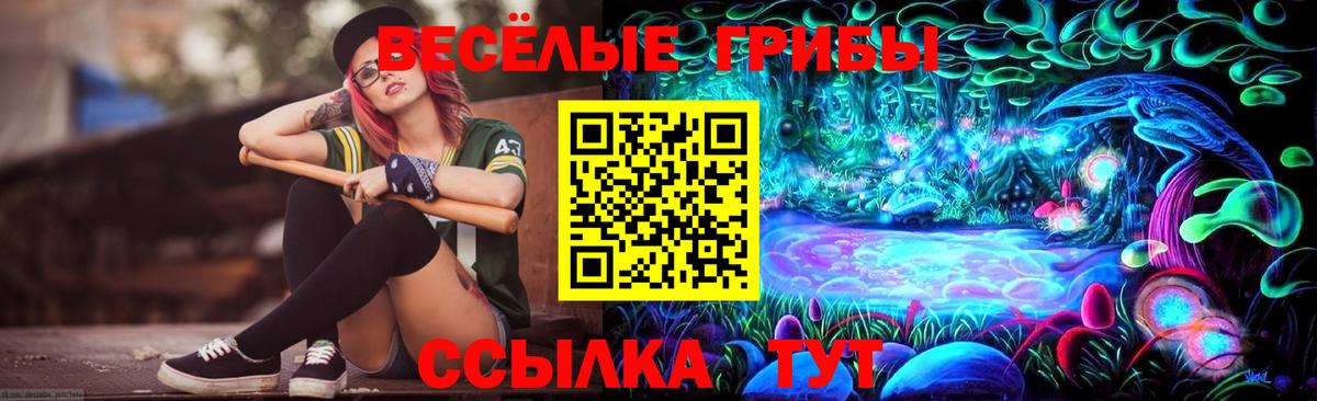 Псилоцибиновые грибы GOLDEN TEACHER Можайск